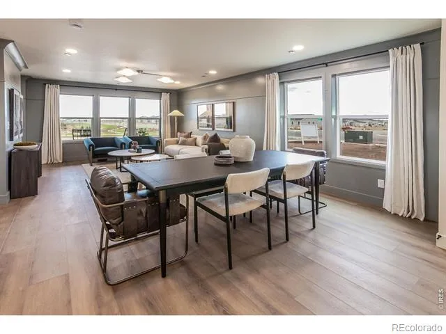 932 Trumpet Lane Windsor, CO 80550