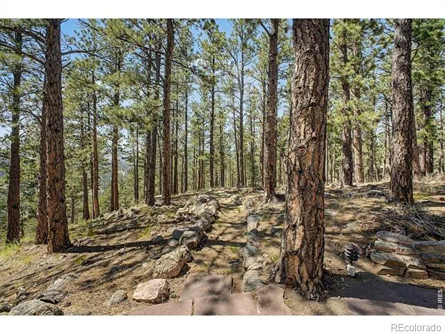 419 Wild Horse Circle Boulder, CO 80304