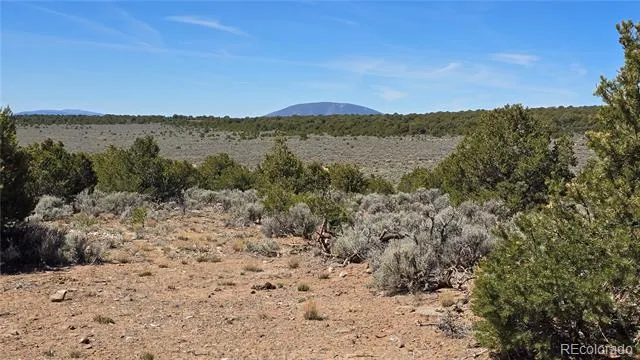 2738 Elk Park Road San Luis, CO 81152