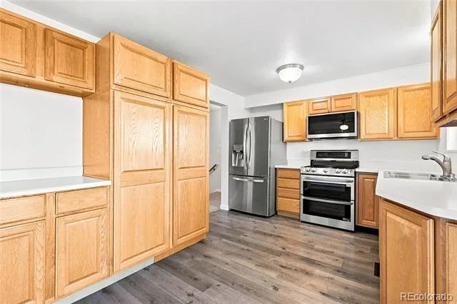 528 Apollo Court Lone Tree, CO 80124