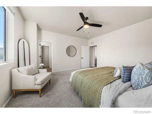 1804 Iron Wheel Drive #5 Windsor, CO 80550