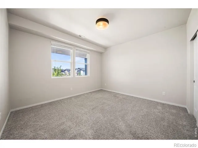 1804 Iron Wheel Drive #5 Windsor, CO 80550