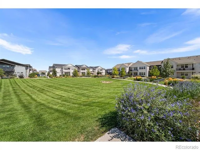 1804 Iron Wheel Drive #5 Windsor, CO 80550