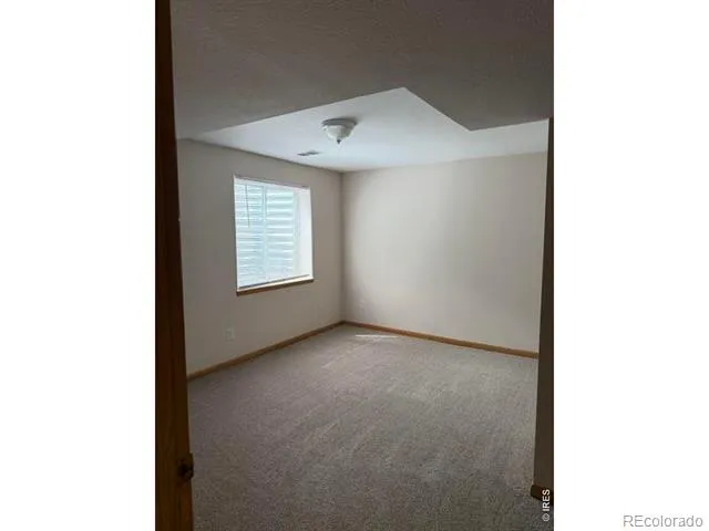 629 Ash Street Windsor, CO 80550