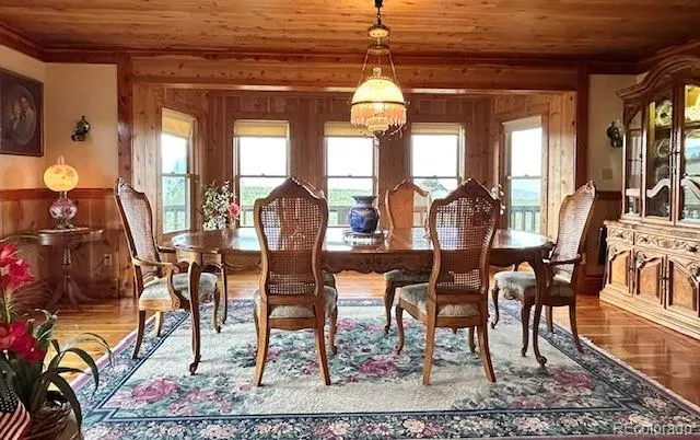 85 Excelsior Road Silver Cliff, CO 81252