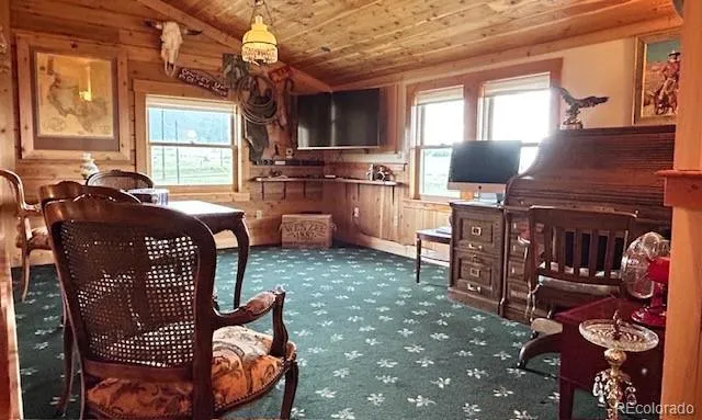 85 Excelsior Road Silver Cliff, CO 81252