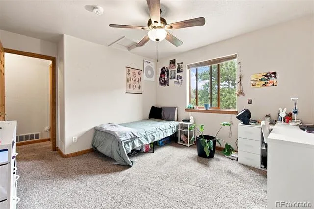 173 Wisp Creek Drive Bailey, CO 80421