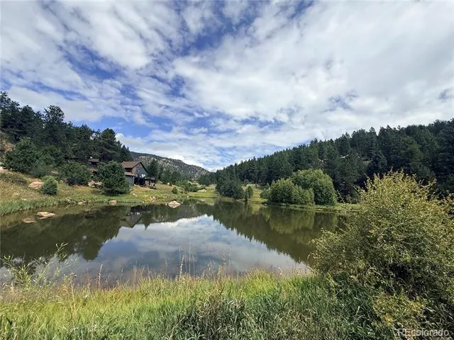 173 Wisp Creek Drive Bailey, CO 80421