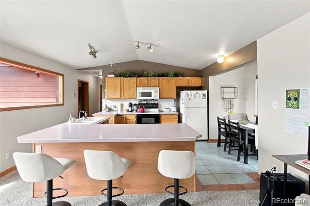 173 Wisp Creek Drive Bailey, CO 80421