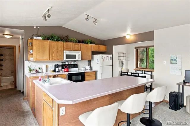173 Wisp Creek Drive Bailey, CO 80421