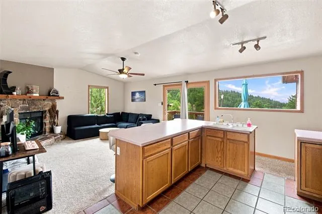 173 Wisp Creek Drive Bailey, CO 80421