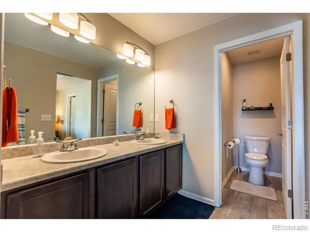 5319 Osbourne Drive Windsor, CO 80550