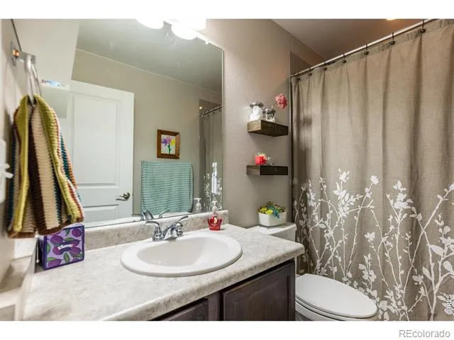 5319 Osbourne Drive Windsor, CO 80550