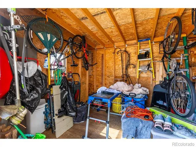 5319 Osbourne Drive Windsor, CO 80550