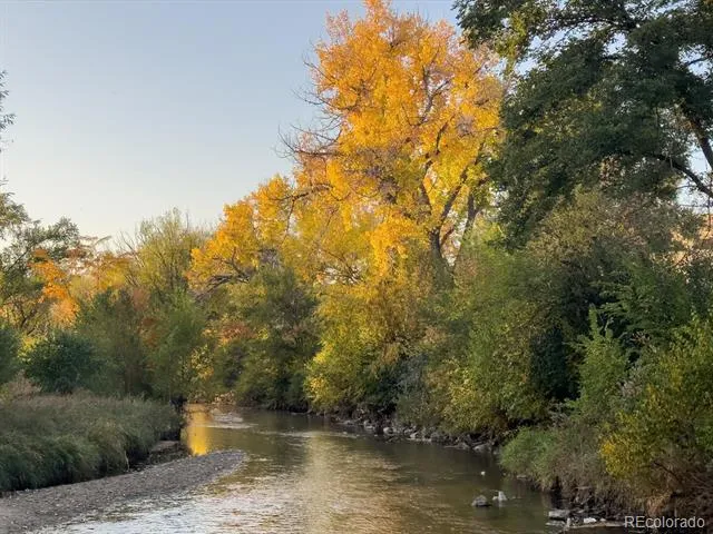 3100 E Cherry Creek South Drive #704 Denver, CO 80209