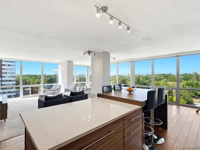 3100 E Cherry Creek South Drive #704 Denver, CO 80209