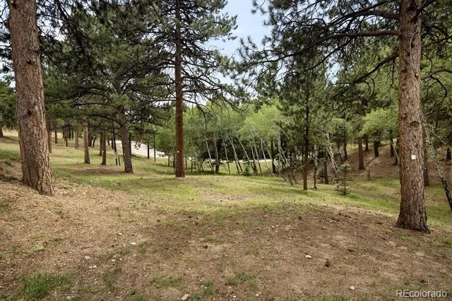 34066 Ranchero Road Evergreen, CO 80439