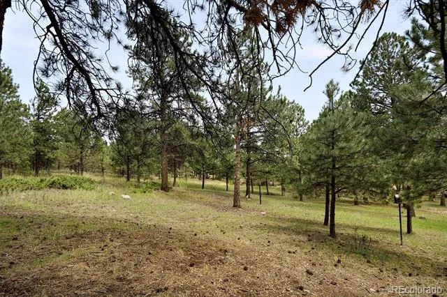 34066 Ranchero Road Evergreen, CO 80439