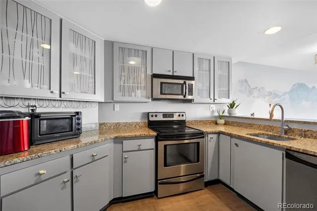 100 Park Avenue #1703 Denver, CO 80205