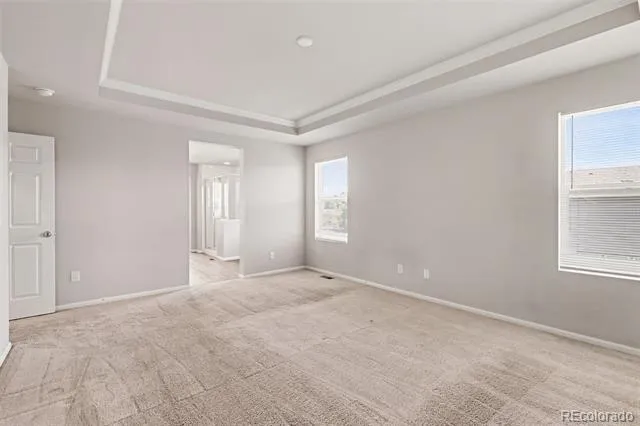 4709 Helena Street Denver, CO 80239