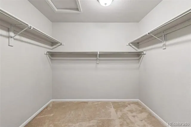 4709 Helena Street Denver, CO 80239