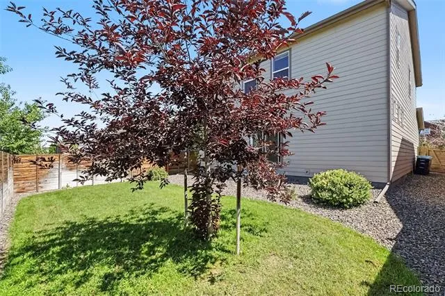 4709 Helena Street Denver, CO 80239