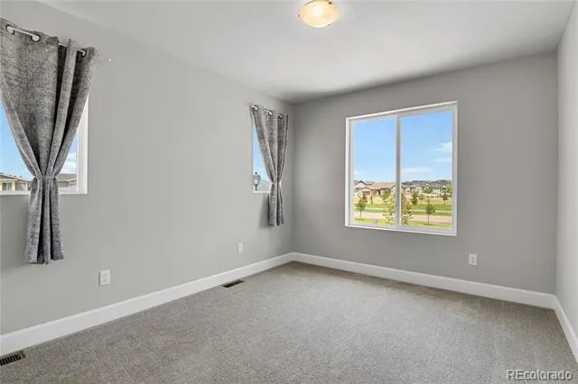 10007 Vervain View Colorado Springs, CO 80924