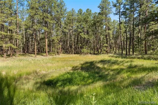 7005 Shoup Road Colorado Springs, CO 80908