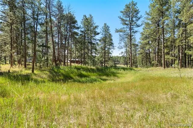 7005 Shoup Road Colorado Springs, CO 80908