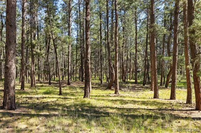 7005 Shoup Road Colorado Springs, CO 80908