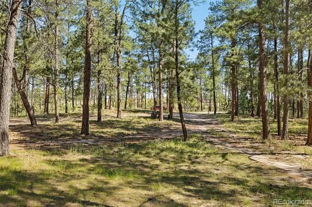 7005 Shoup Road Colorado Springs, CO 80908