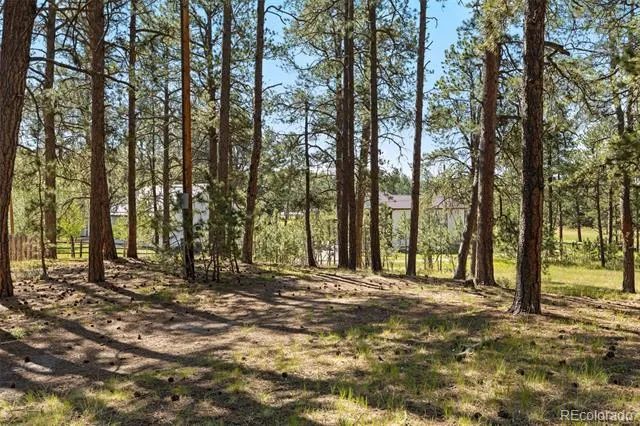 7005 Shoup Road Colorado Springs, CO 80908