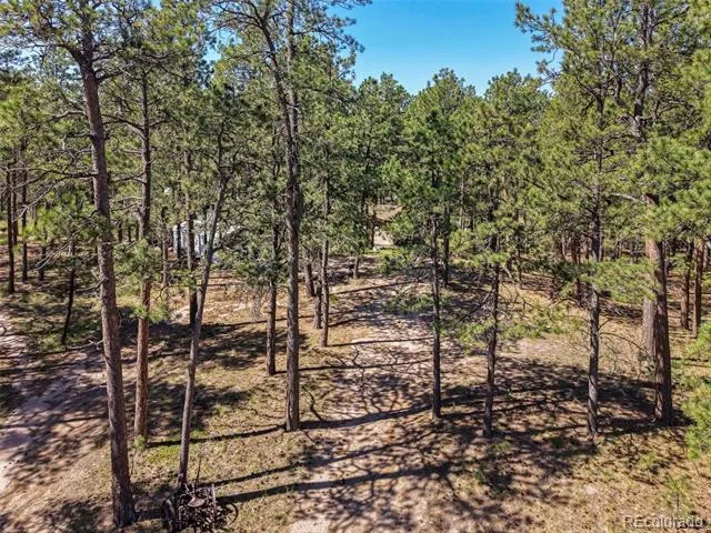 7005 Shoup Road Colorado Springs, CO 80908
