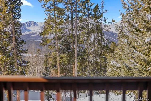 1014 Atlantic Lode Road Breckenridge, CO 80424