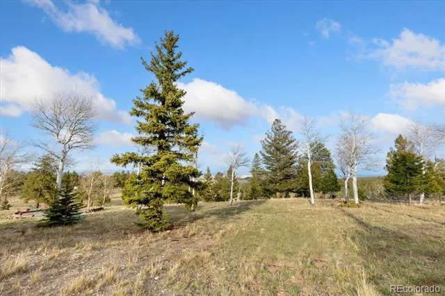 937 Pitchfork Road Hartsel, CO 80449