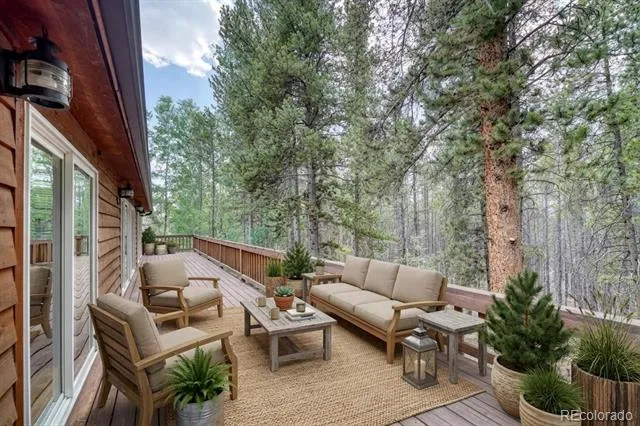 37 Comstock Court Leadville, CO 80461