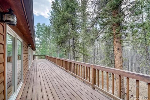 37 Comstock Court Leadville, CO 80461
