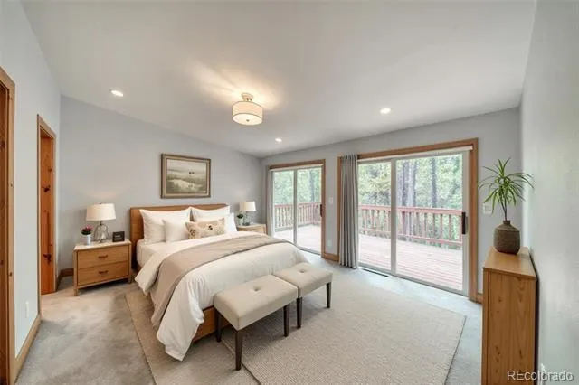 37 Comstock Court Leadville, CO 80461