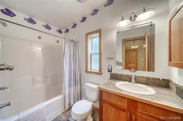 37 Comstock Court Leadville, CO 80461