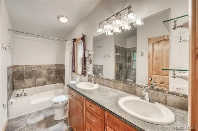 37 Comstock Court Leadville, CO 80461