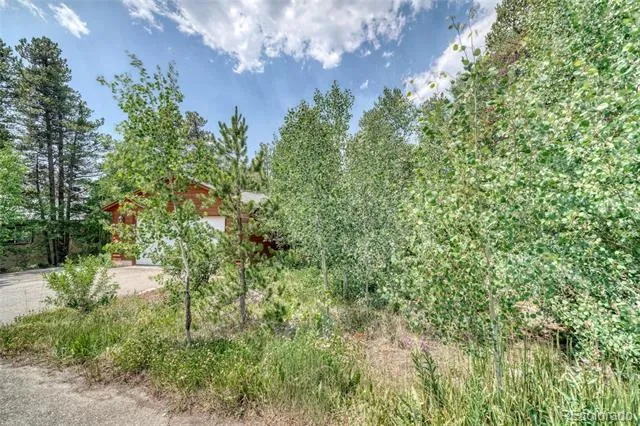 37 Comstock Court Leadville, CO 80461