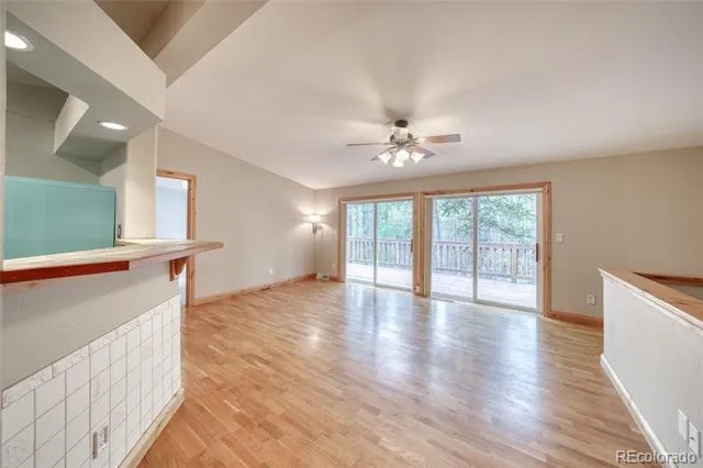 37 Comstock Court Leadville, CO 80461