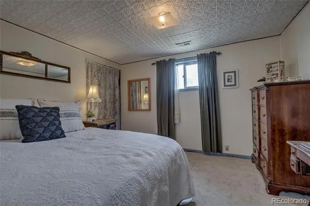 419 E 10th Street Leadville, CO 80461