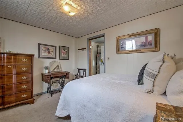 419 E 10th Street Leadville, CO 80461
