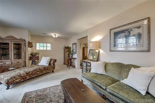419 E 10th Street Leadville, CO 80461