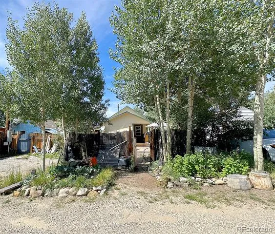419 E 10th Street Leadville, CO 80461