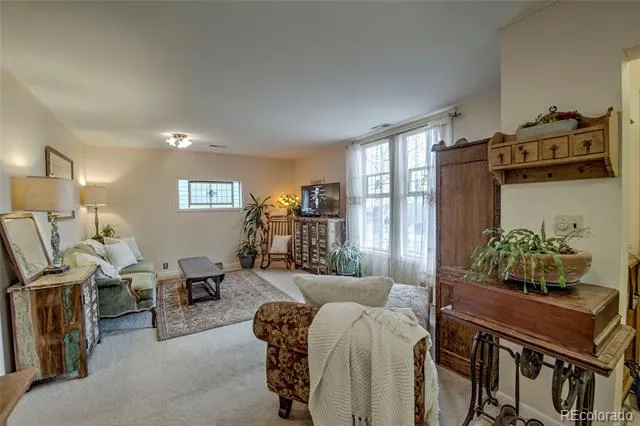 419 E 10th Street Leadville, CO 80461