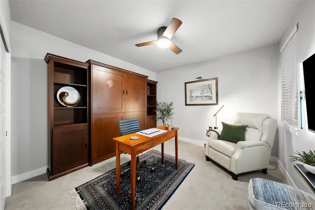 20 Wilcox Street #317 Castle Rock, CO 80104