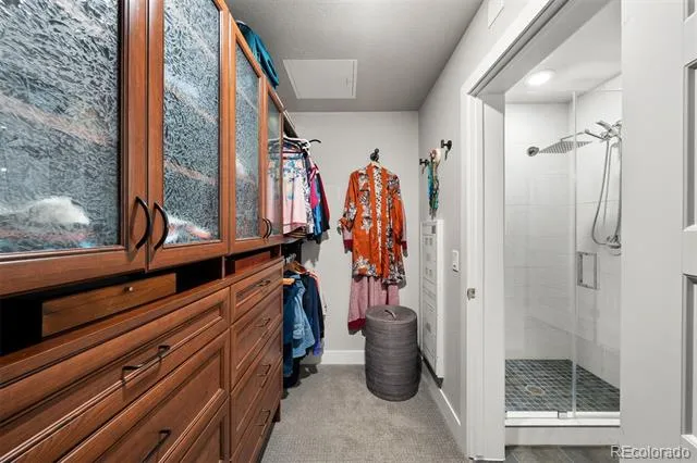 20 Wilcox Street #317 Castle Rock, CO 80104
