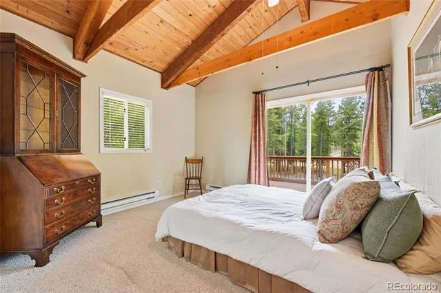 9128 Krashin Drive Conifer, CO 80433